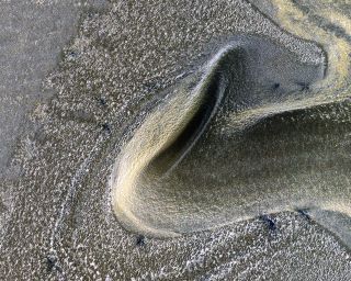 Martian sand dunes are covered with carbon-dioxide frost and dust in this new image from NASA's Mars Reconnaissance Orbiter. The image, captured by the orbiter's HiRISE (High Resolution Imaging Science Experiment) camera, is the first of a new series of images that researchers will use to study changing seasonal processes on Mars.