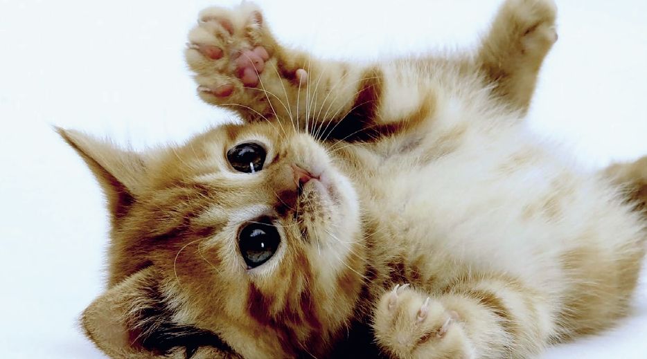 Using digital One Time Pads How to use One Time Pad cryptography with