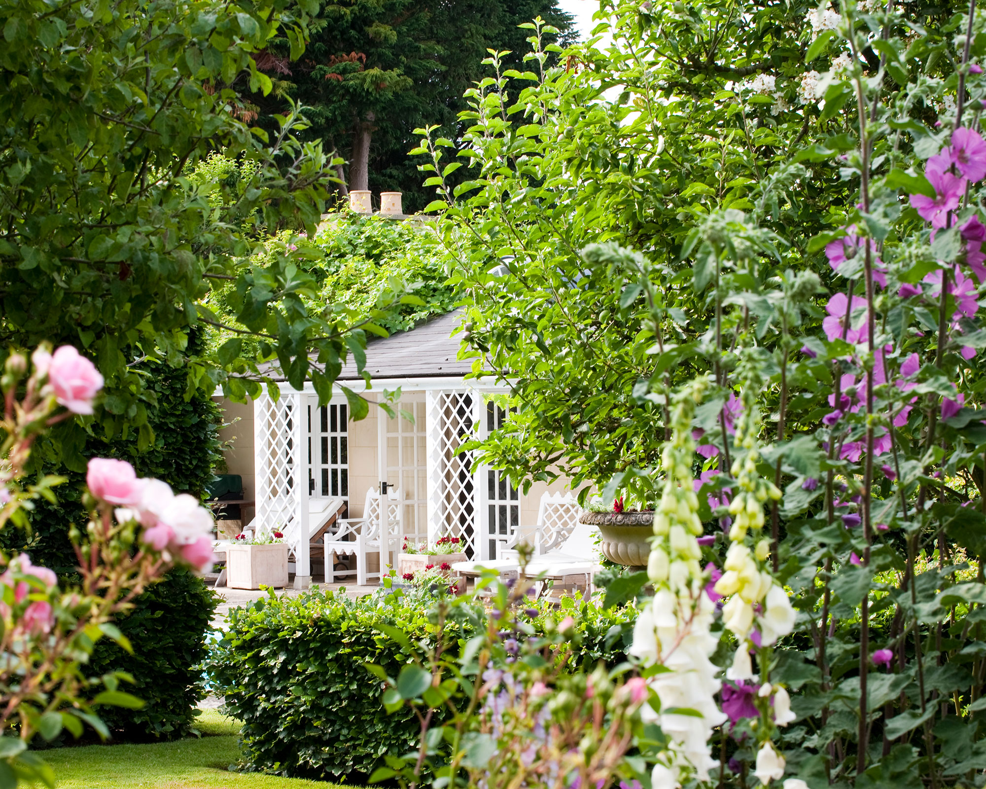 garden with foxgloves and garden room