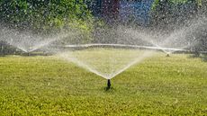 Sprinkler heads water a lawn
