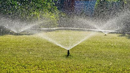 Sprinkler heads water a lawn