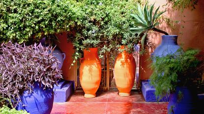 地中海风格大terracotta盆植物的花园