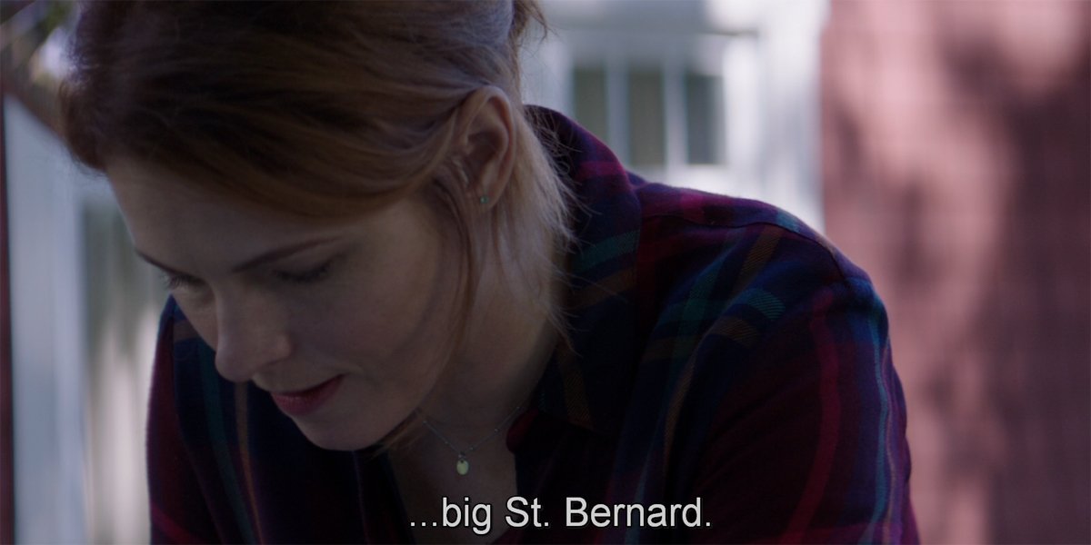Pet Sematary 2019 Cujo easter egg