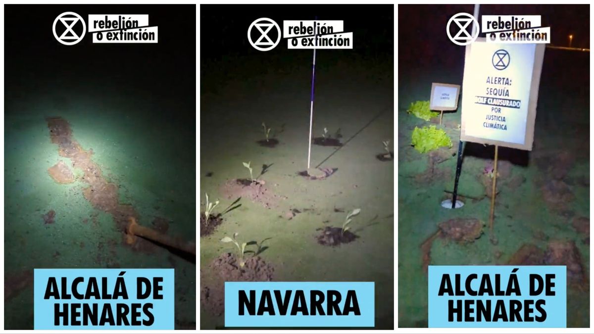 Extinction Rebellion cavó hoyos y destrozó campos de golf por toda España