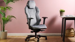 Quersus ICOS.2 with plant, desk, and pink wall in background