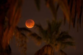 An eclipsed supermoon is shown on September 27, 2015 in Los Angeles, California.
