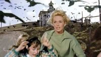   The Birds