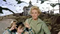   The Birds