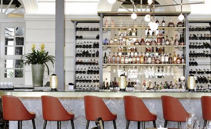Interior view of the bar at Empress featuring a grey marble style bar front with dark counter top, red chairs, a grey vase with a yellow and green plant and a shelving unit behind the bar with multiple bottles of drinks and glasses