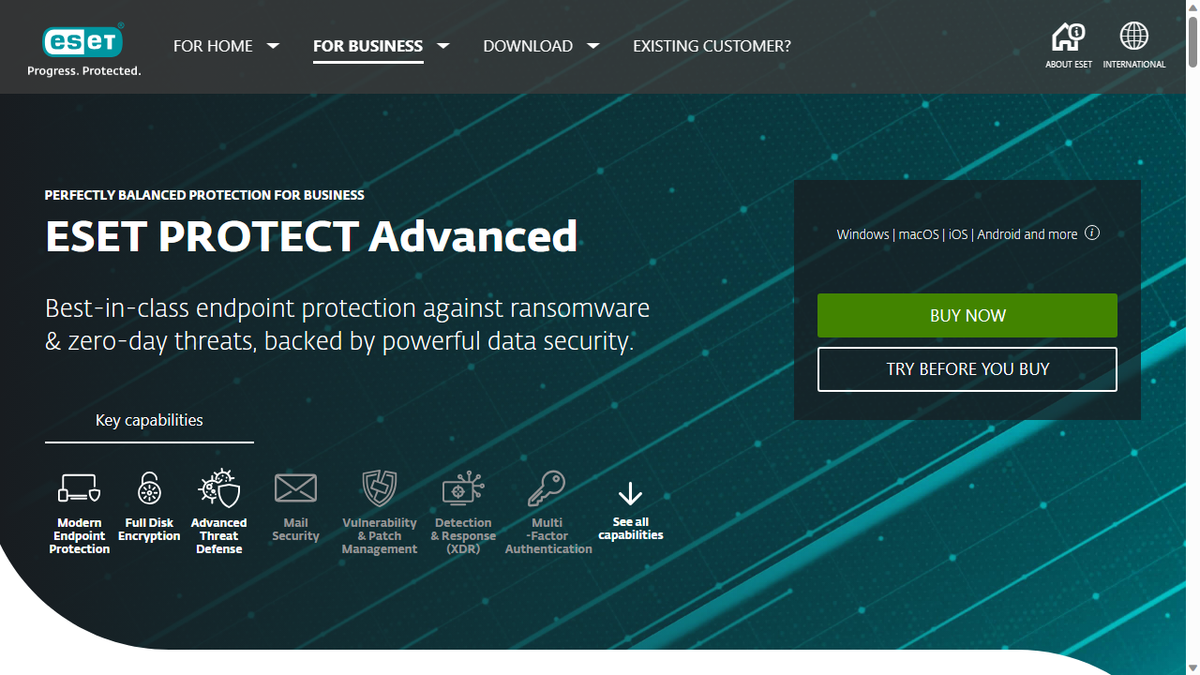 Website screenshot for ESET PROTECT 