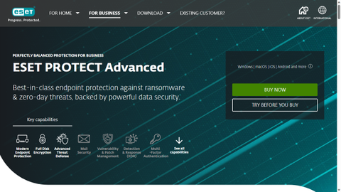 Website screenshot for ESET PROTECT 