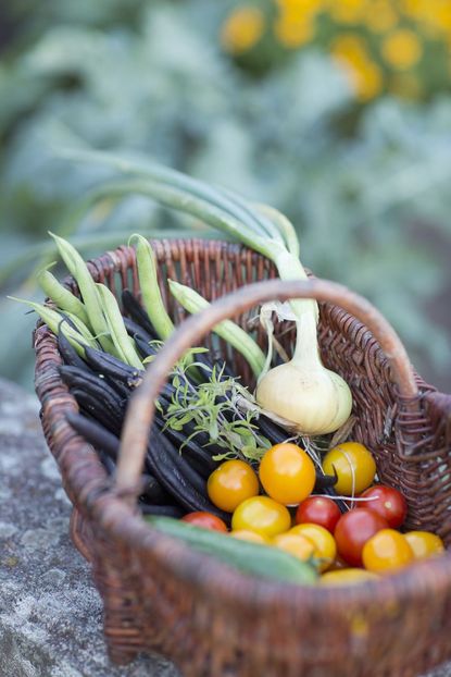 Prepare a Veggie Basket