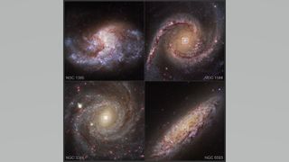 Hubble Space Telescope images of four of the galaxies found to contain growing intermediate-mass black holes inside nuclear star clusters (indicated inside the squares).