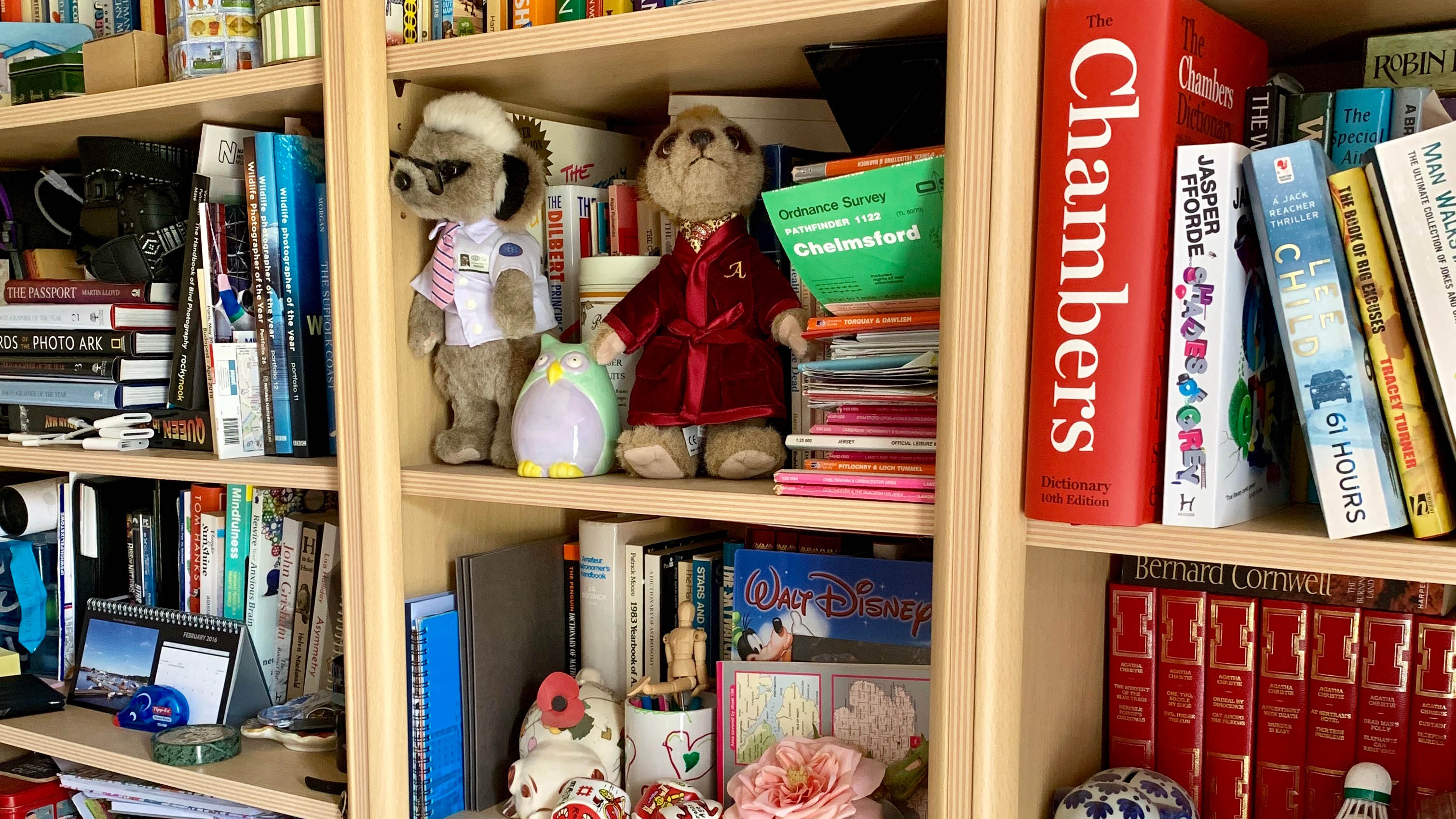 Cluttered bookcase