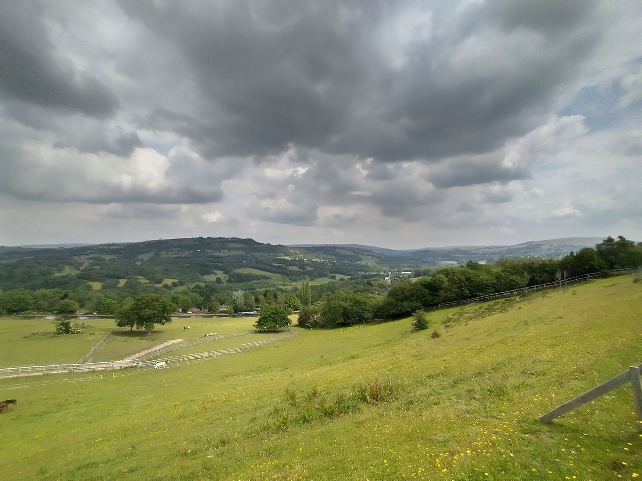 Nokia 5.3 camera sample