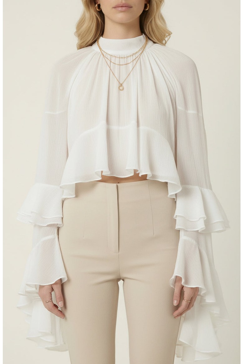 Sheer Ruffle Sleeve Blouse