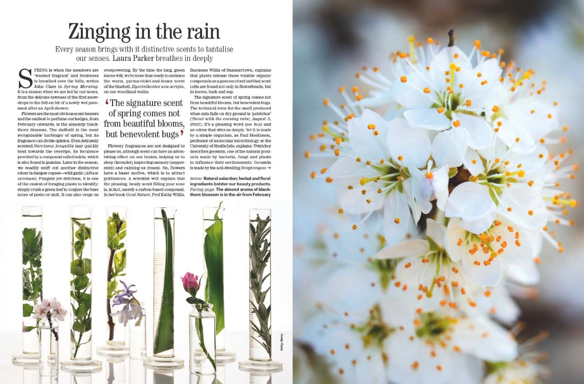 Spreads from Country Life January 28, 2026