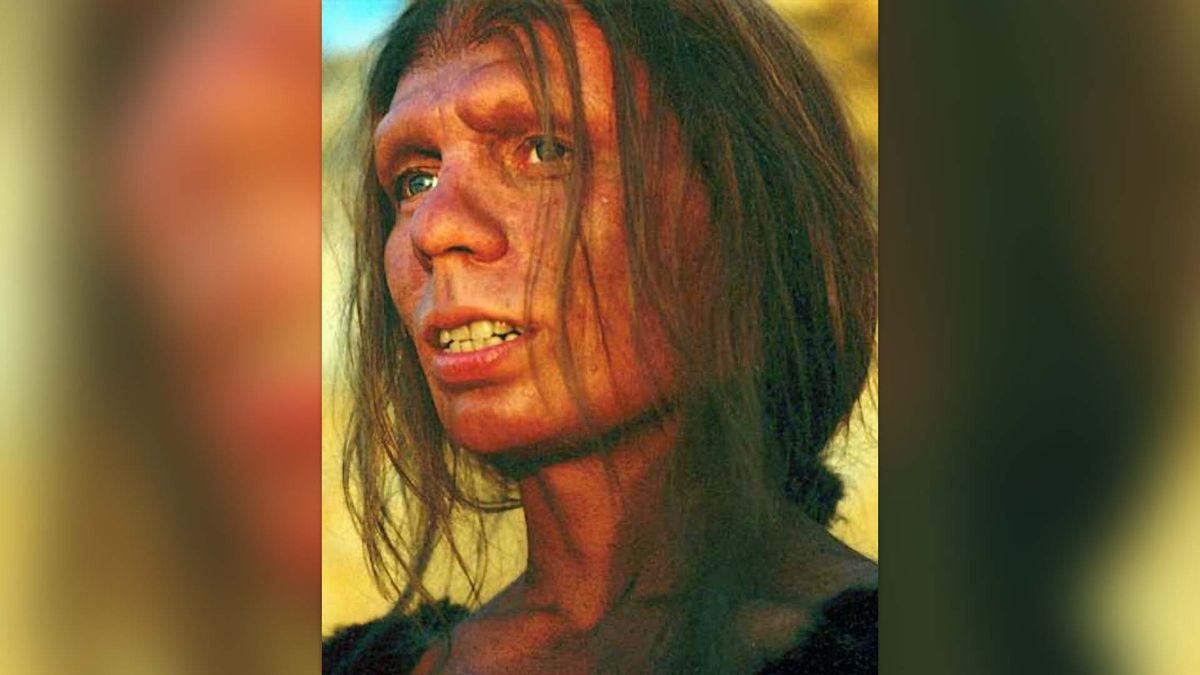 Neanderthals: Our Extinct Human Relatives | Live Science