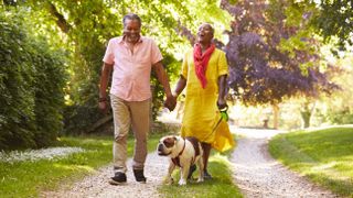 Couple walking dog