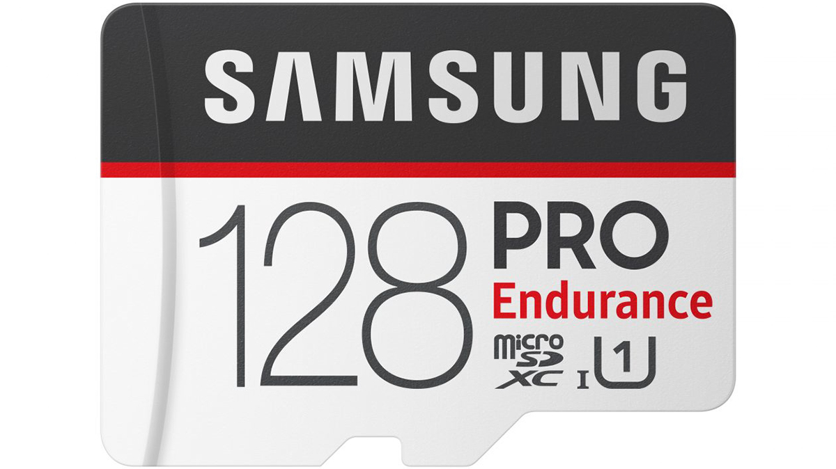 Best memory card: Samsung PRO Endurance