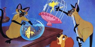 siamese cats in Lady and the Tramp