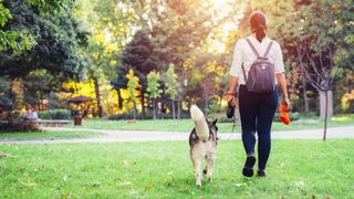 Woman walking dog