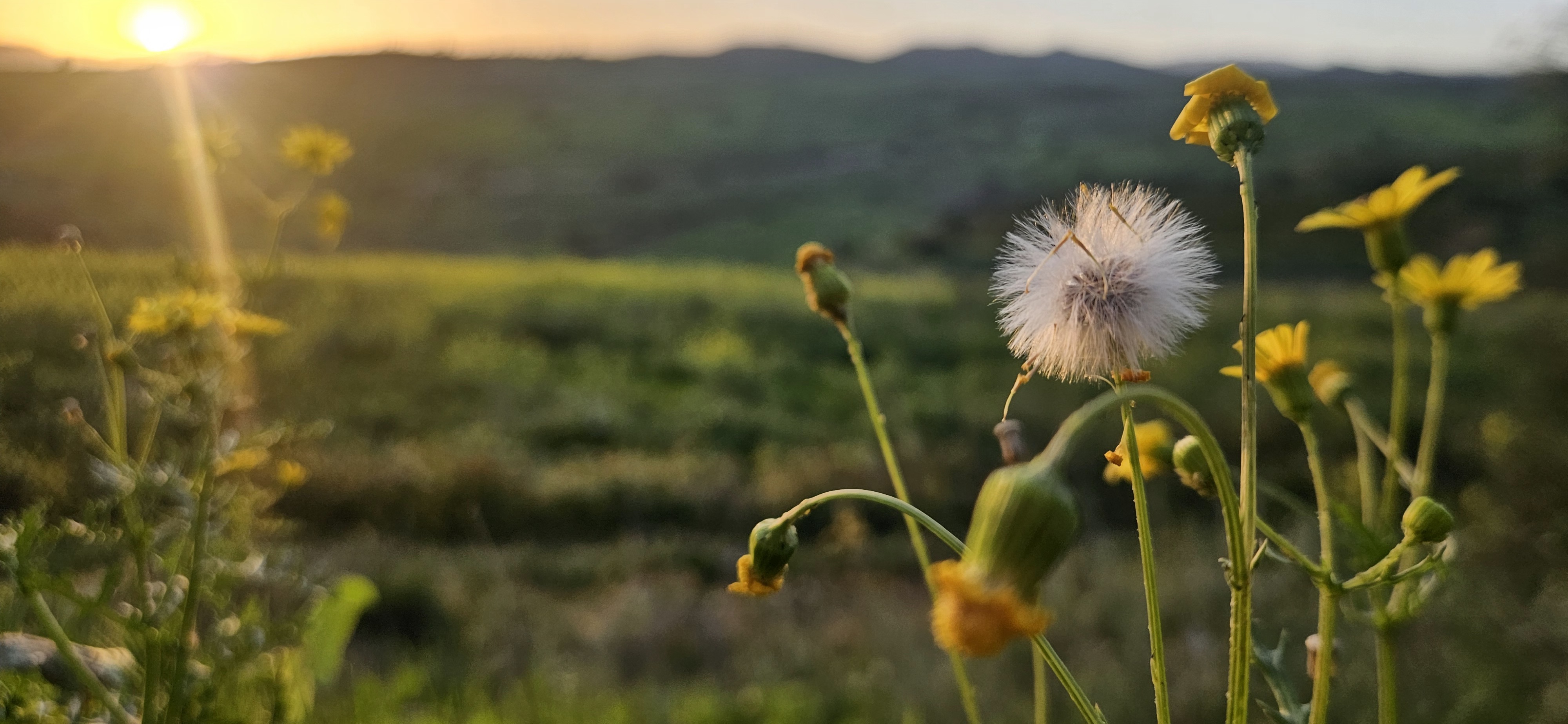 GuruShots - Nature&rsquo;s Masterpiece 2026