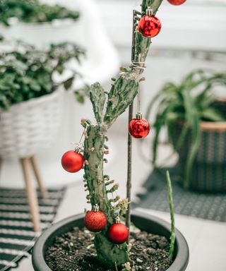 Cactus decorated with round baubles