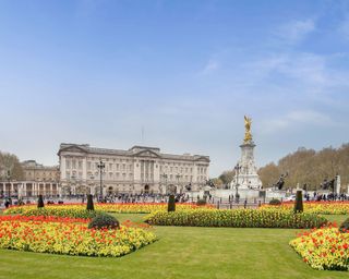 outside buckingham palace with yellow and red blooms