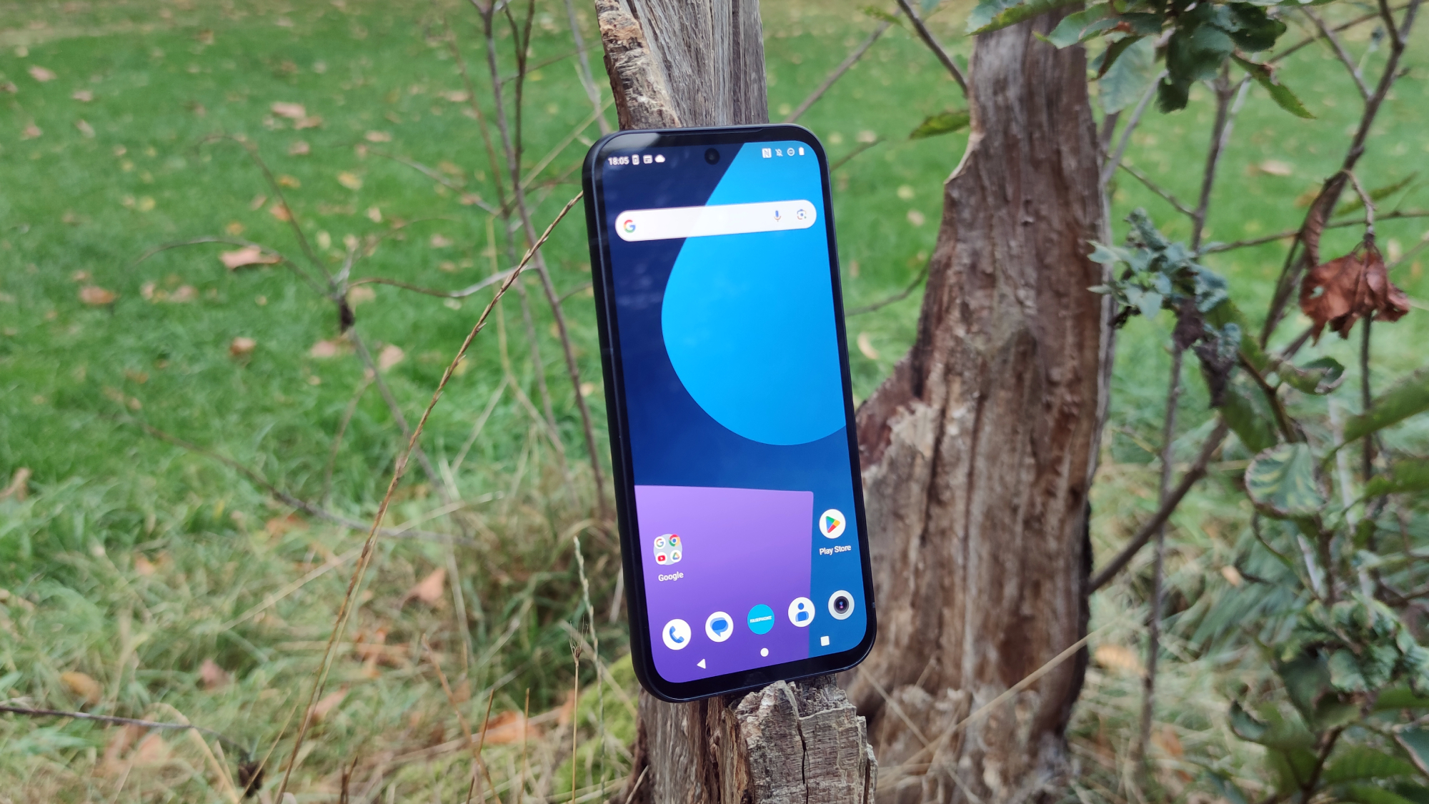 The Fairphone 5 leaning on a tree stump.