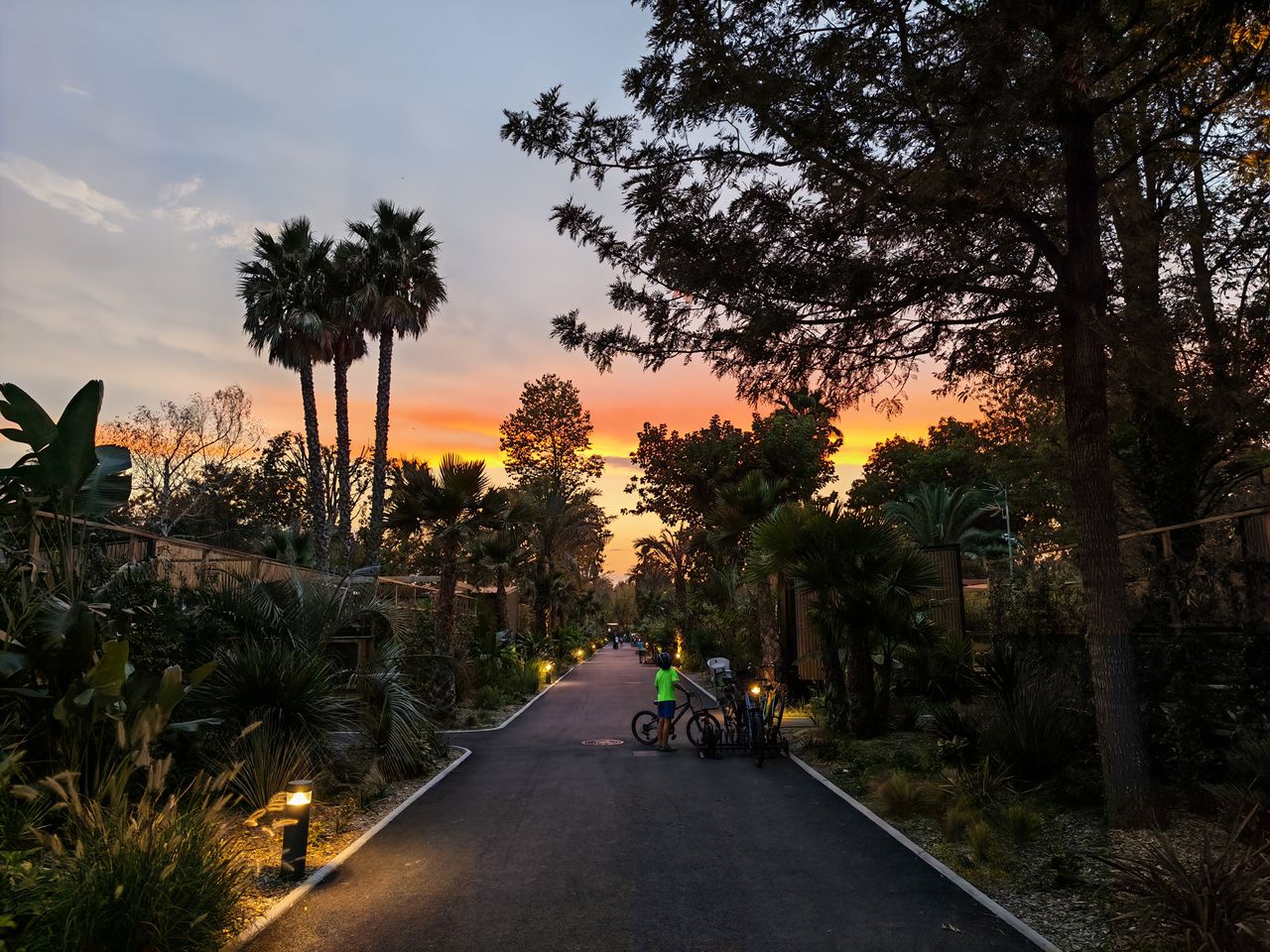 Honor Magic V5 photo samples