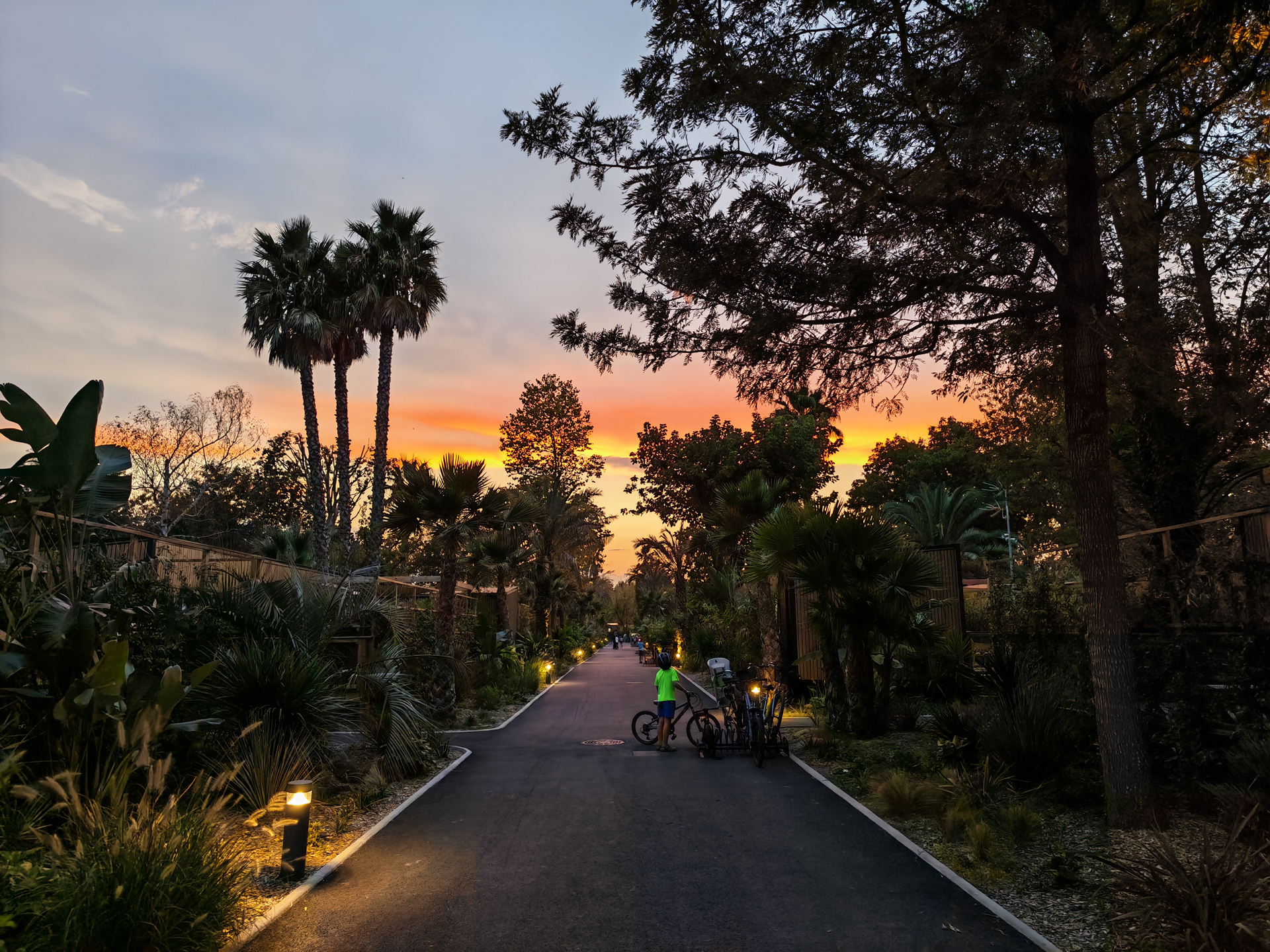 Honor Magic V5 photo samples