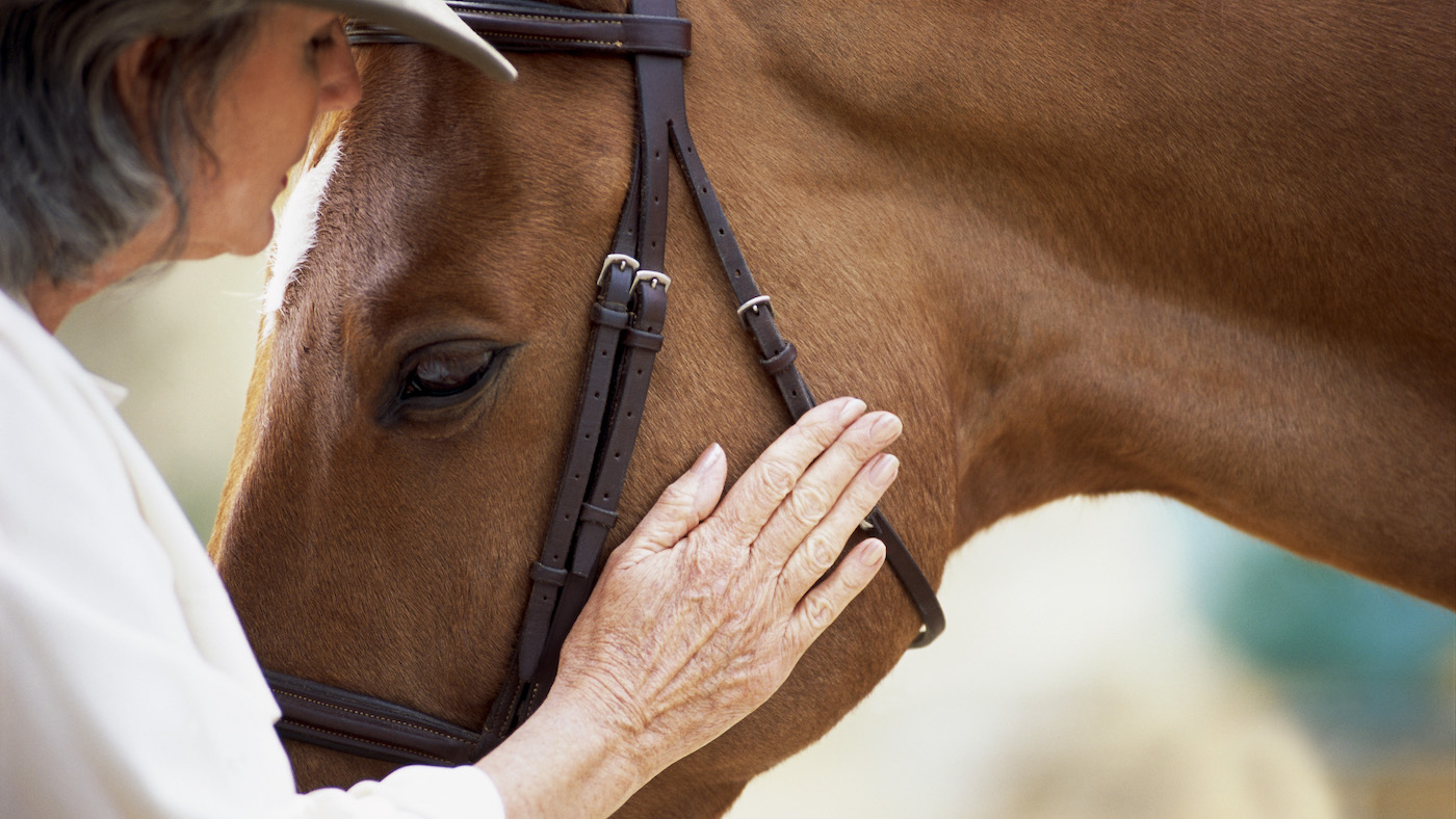 Woman petting horse
