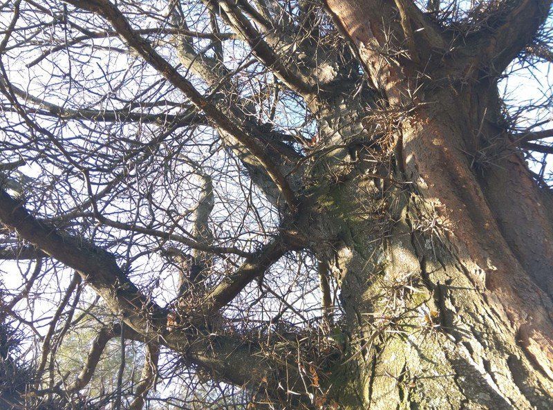 HTC Desire Eye rear camera sample