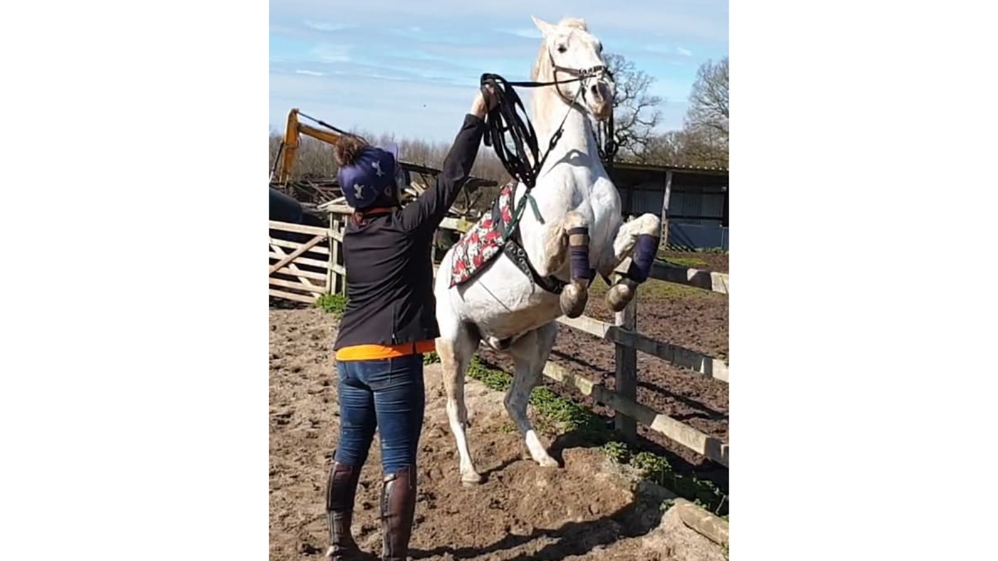 charlotte bailey with grey horse (1)