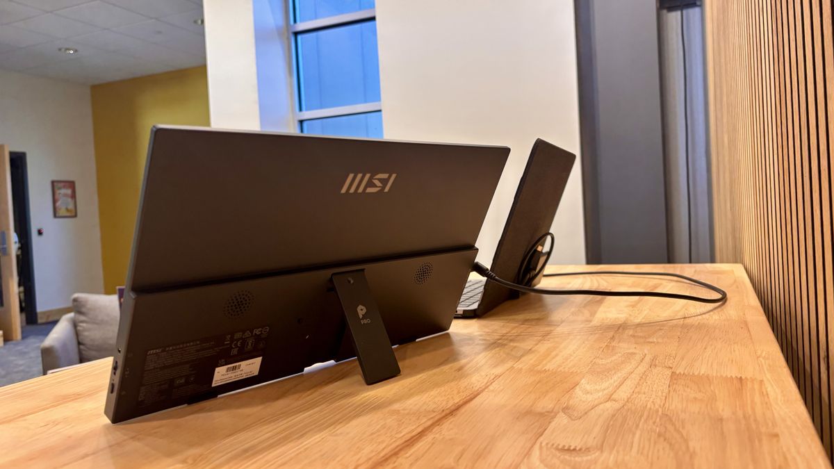 MSI | Pro MP165 E6