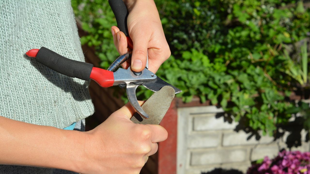 How to sharpen pruning shears