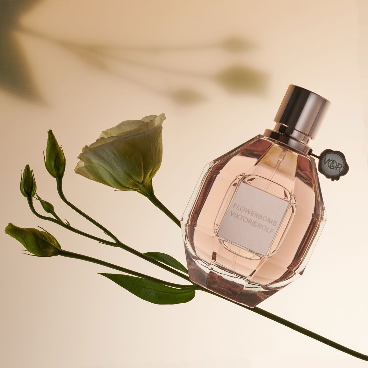 Viktor & Rolf Flowerbomb Eau de Parfum floral perfume balanced on a rose
