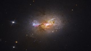The black hole was spotted at the center of the dwarf galaxy Henize 2-10