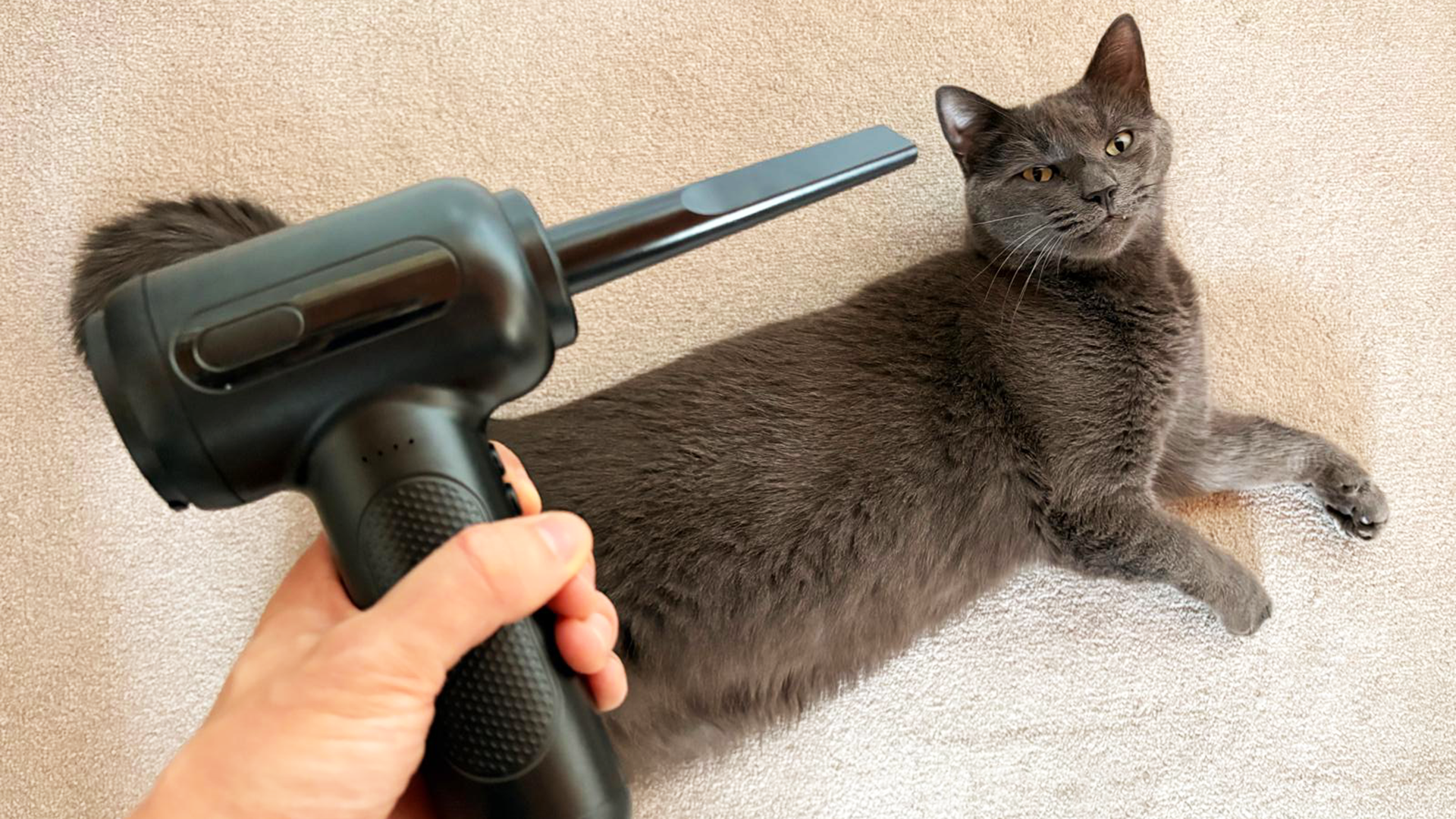 An air blower to get rid of dust and hairs from a gaming PC.