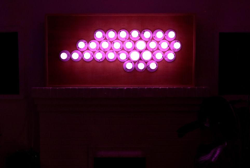 Raspberry Pi