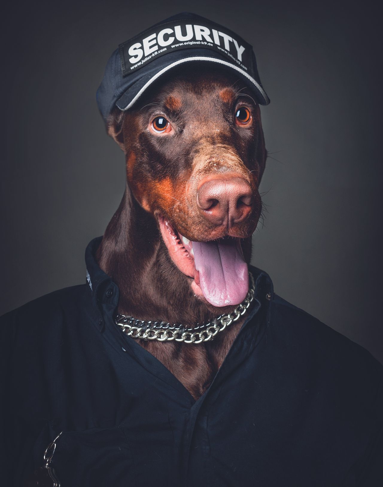 Dog Romero, in security outfit