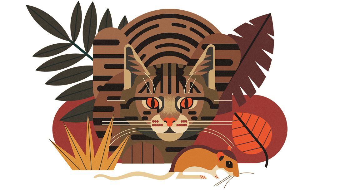 Davey also produces editorial illustrations and game illustrations