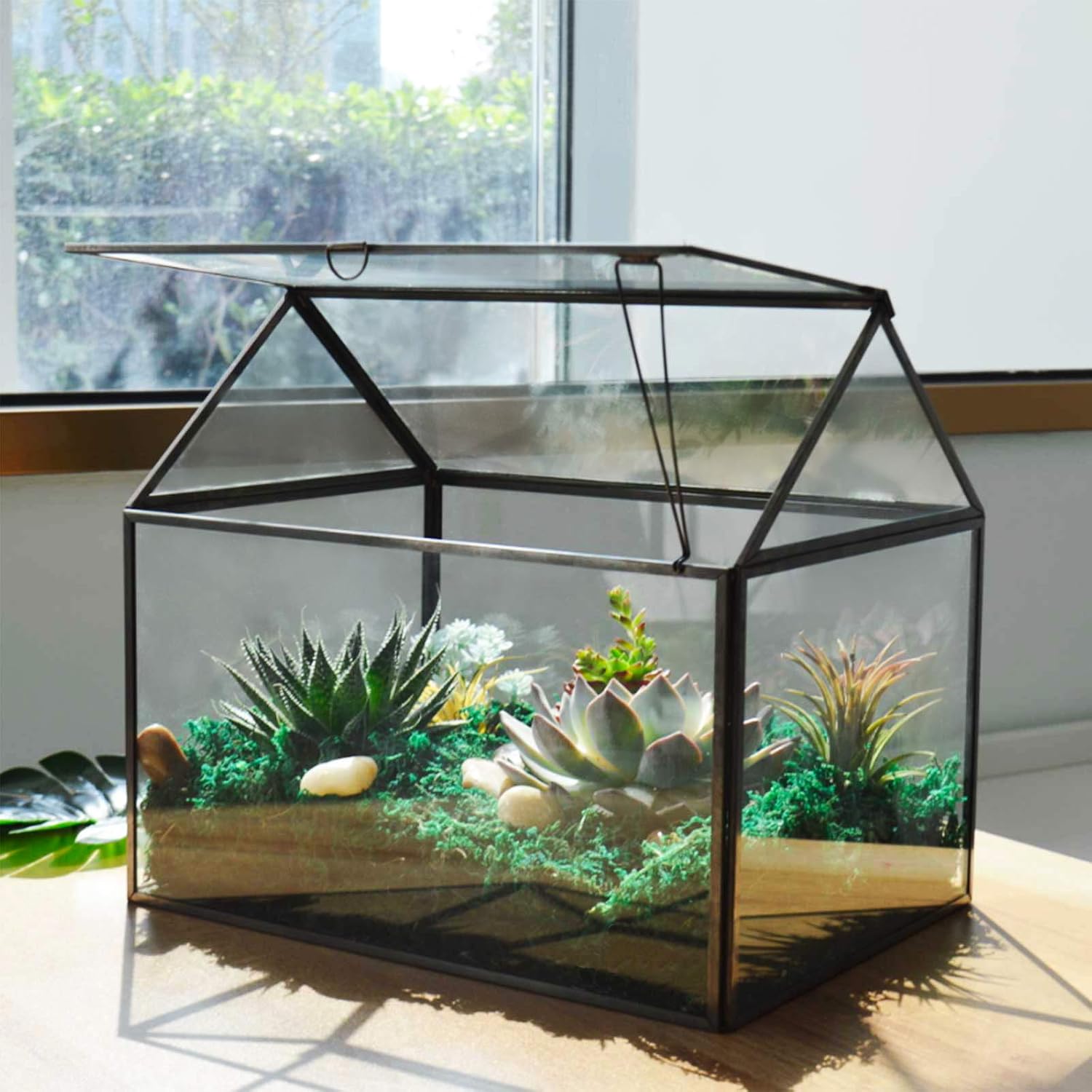 Large Glass Plant Terrarium Kit With Lip &amp;ndash; Black Greenhouse for Succulents