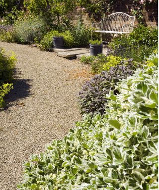 Pea gravel path