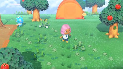 How to improve your Animal Crossing: New Horizons island rating ...