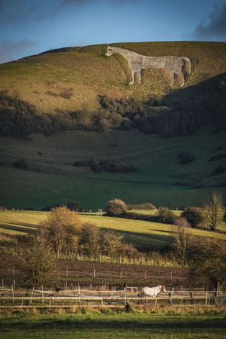 Example of a symmetry photography image