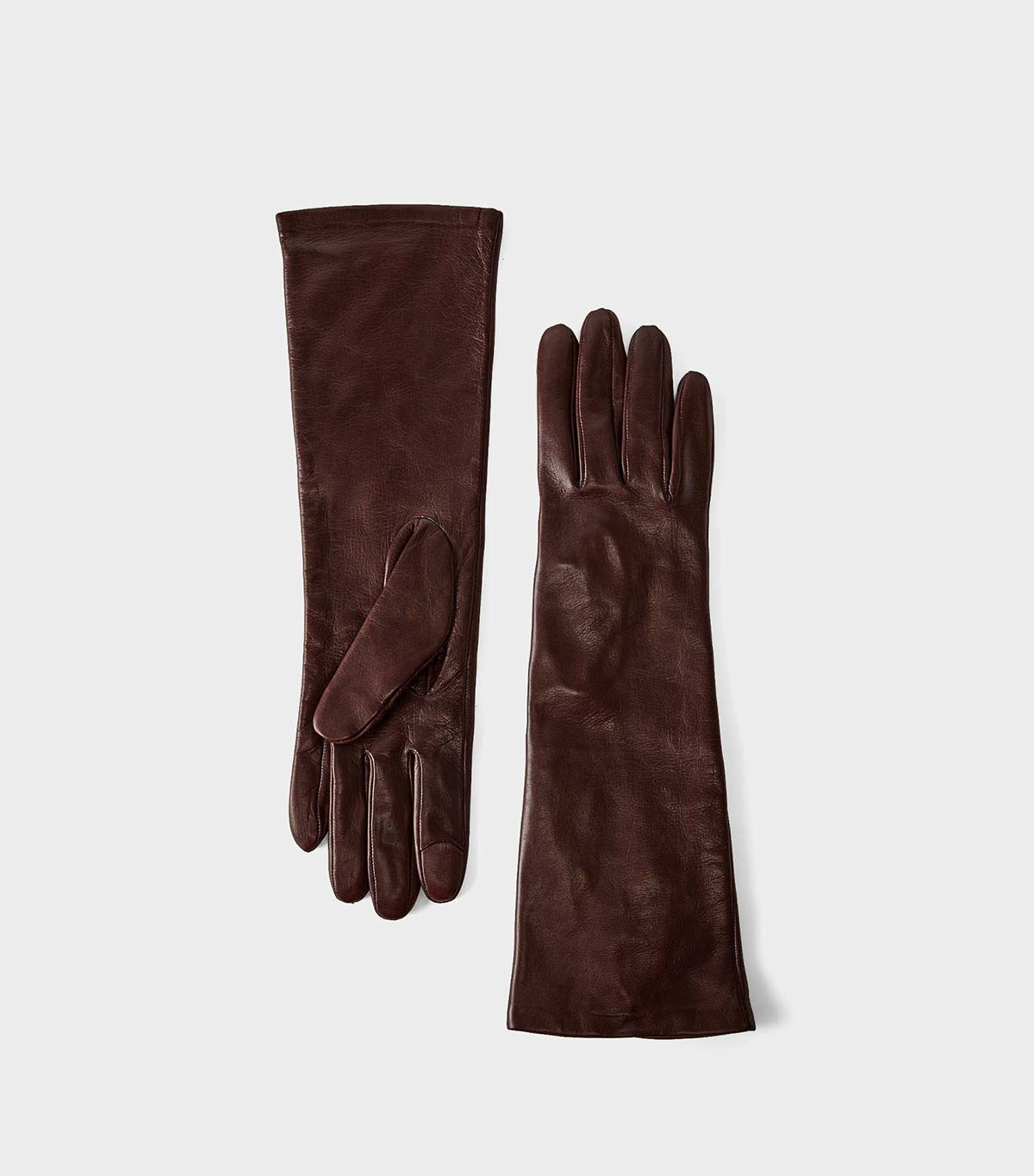 Aritzia, Leather Long Gloves