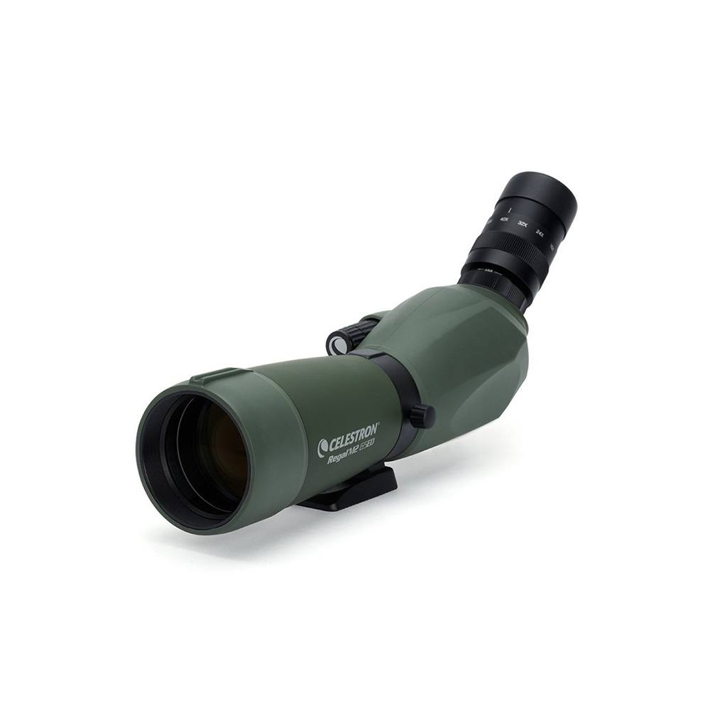 Celestron Regal M2 65ED on a white backdrop