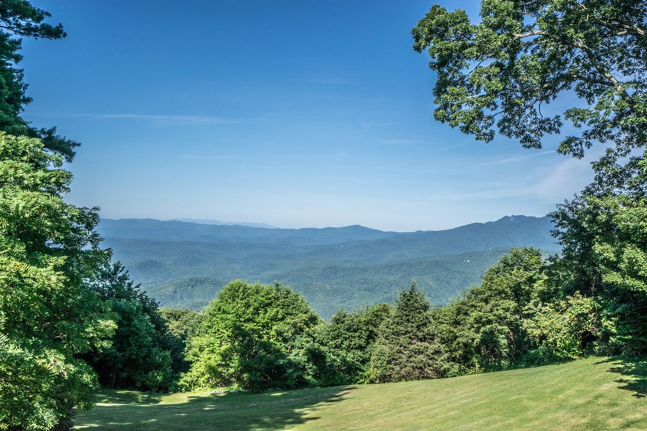 6 lovely homes bordering national forests The Week